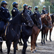 Philadelphia Police horses in 2011. (Photo: Matt Rourke/AP)